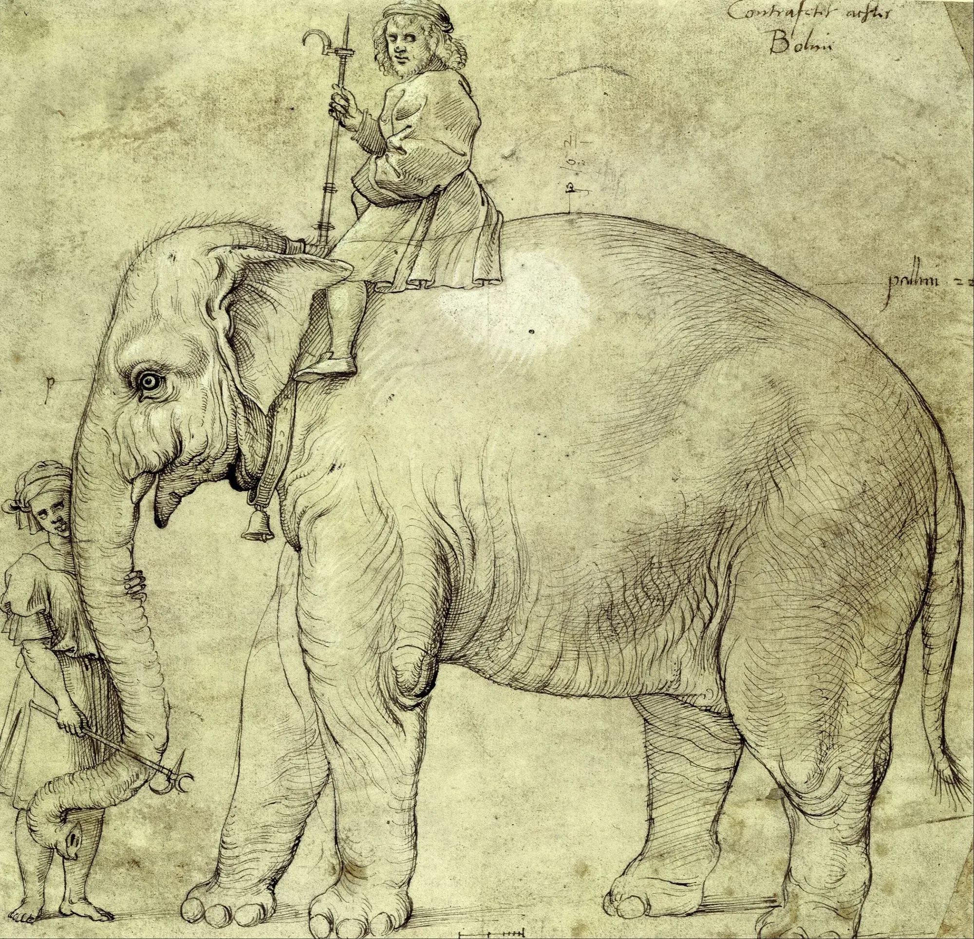Desenho a tinta: um elefante com um tratador às costas e um servo junto à tromba.