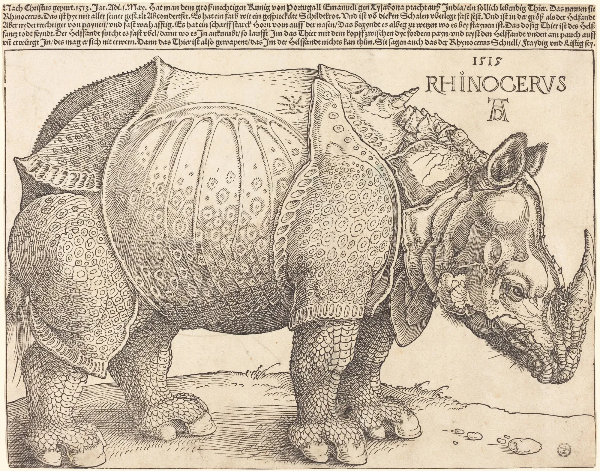 Xilogravura de Albrecht Dürer, 1515: um rinoceronte de perfil, coberto de placas, com um corno a mais no ombro.